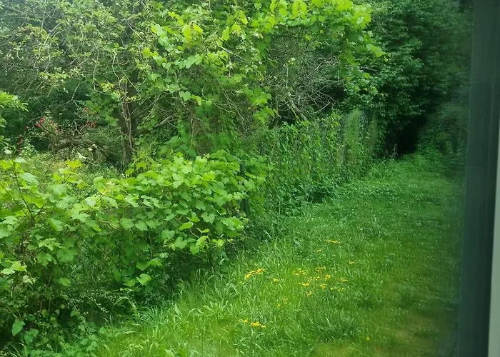 Blisko Morza Kosakowo